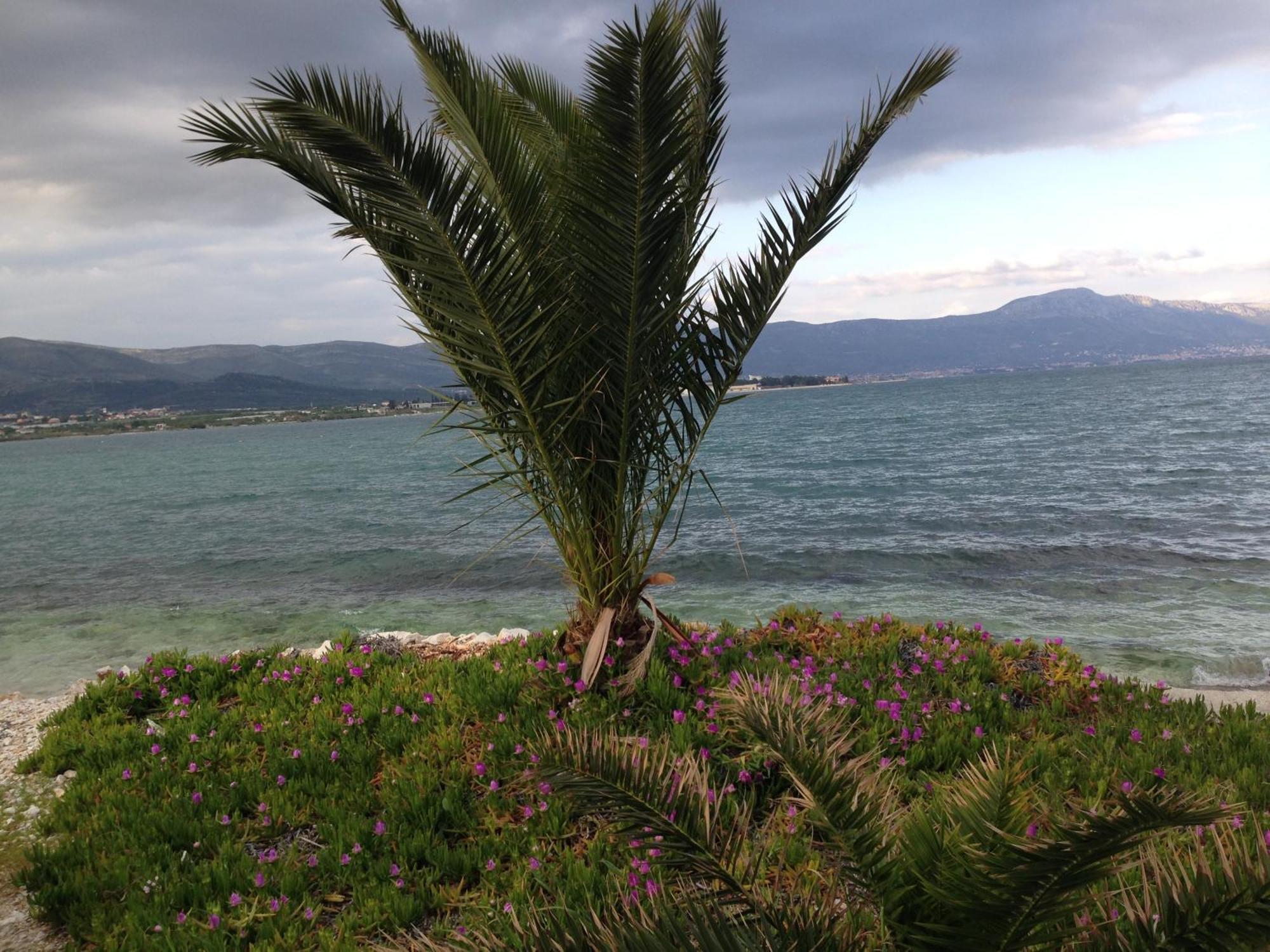 Apartments Exclusive Palace II Trogir Ngoại thất bức ảnh